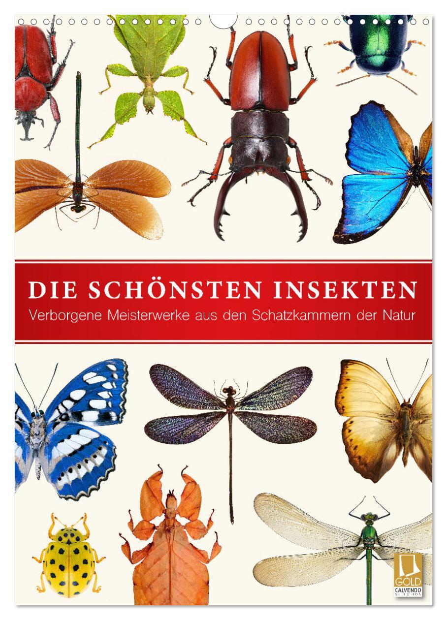 Cover: 9783435980963 | Die schönsten Insekten (Wandkalender 2025 DIN A3 hoch), CALVENDO...