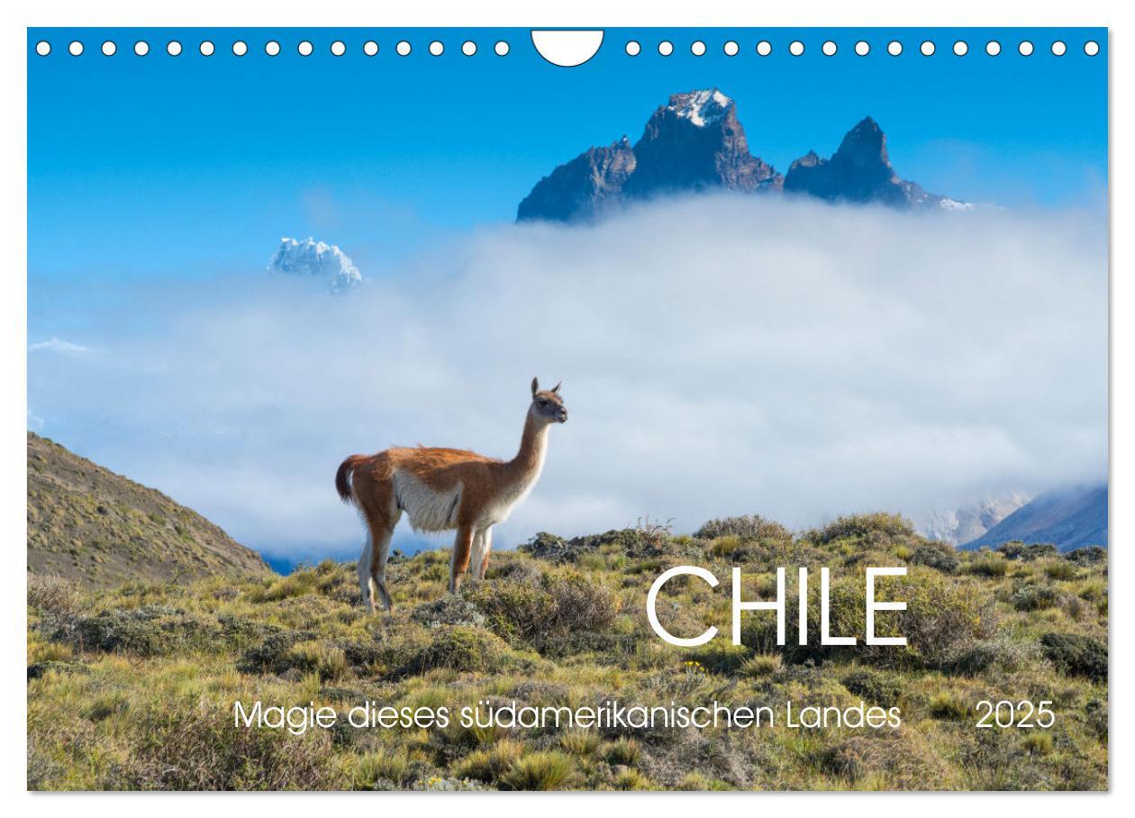 Cover: 9783457179659 | Magie dieses Südamerikanischen Landes, Chile (Wandkalender 2025 DIN...