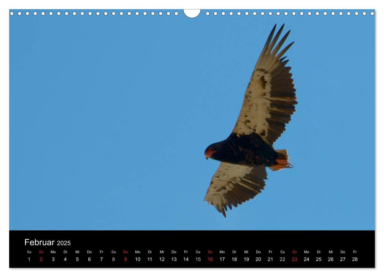 Bild: 9783435768967 | Krüger Nationalpark - Kalender 2025 (Wandkalender 2025 DIN A3...