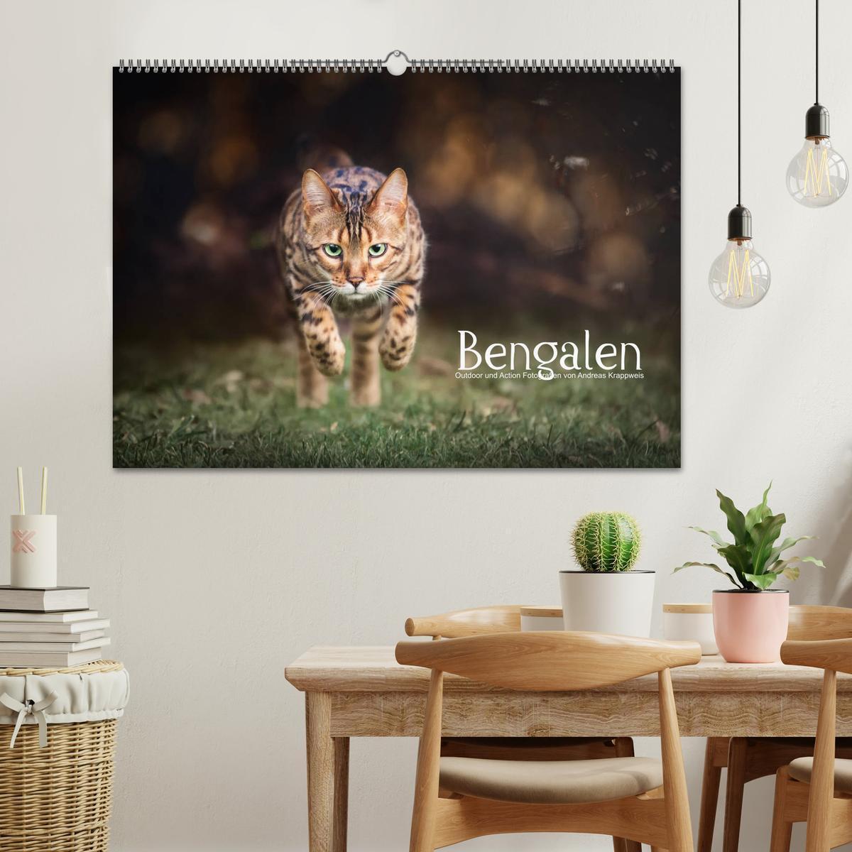 Bild: 9783435336098 | Bengalen Outdoor und Action (Wandkalender 2025 DIN A2 quer),...