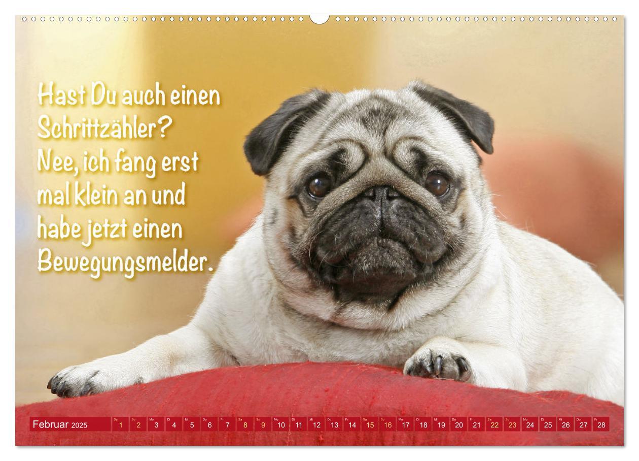 Bild: 9783457167205 | Lächeln mit Mops (Wandkalender 2025 DIN A2 quer), CALVENDO...