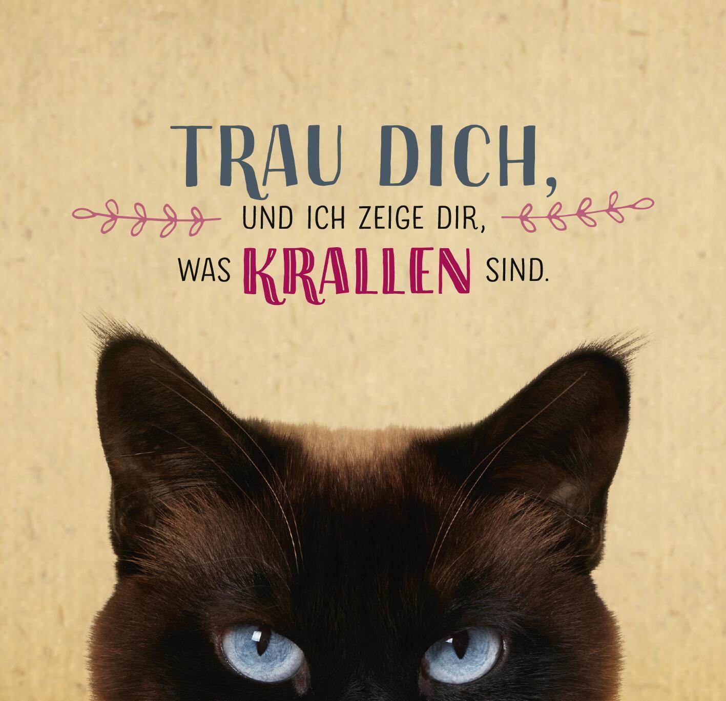 Bild: 9783845855943 | Die ganze Wahrheit über deine Katze | Was Katzen wirklich denken!