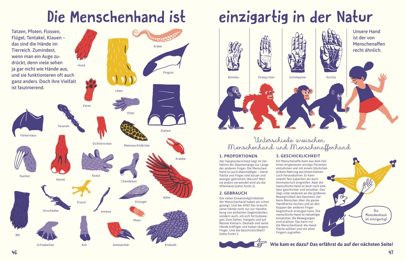 Bild: 9783848902170 | Alles über die Hand | Sachbuch für Kinder ab 8, stilvoll illustriert