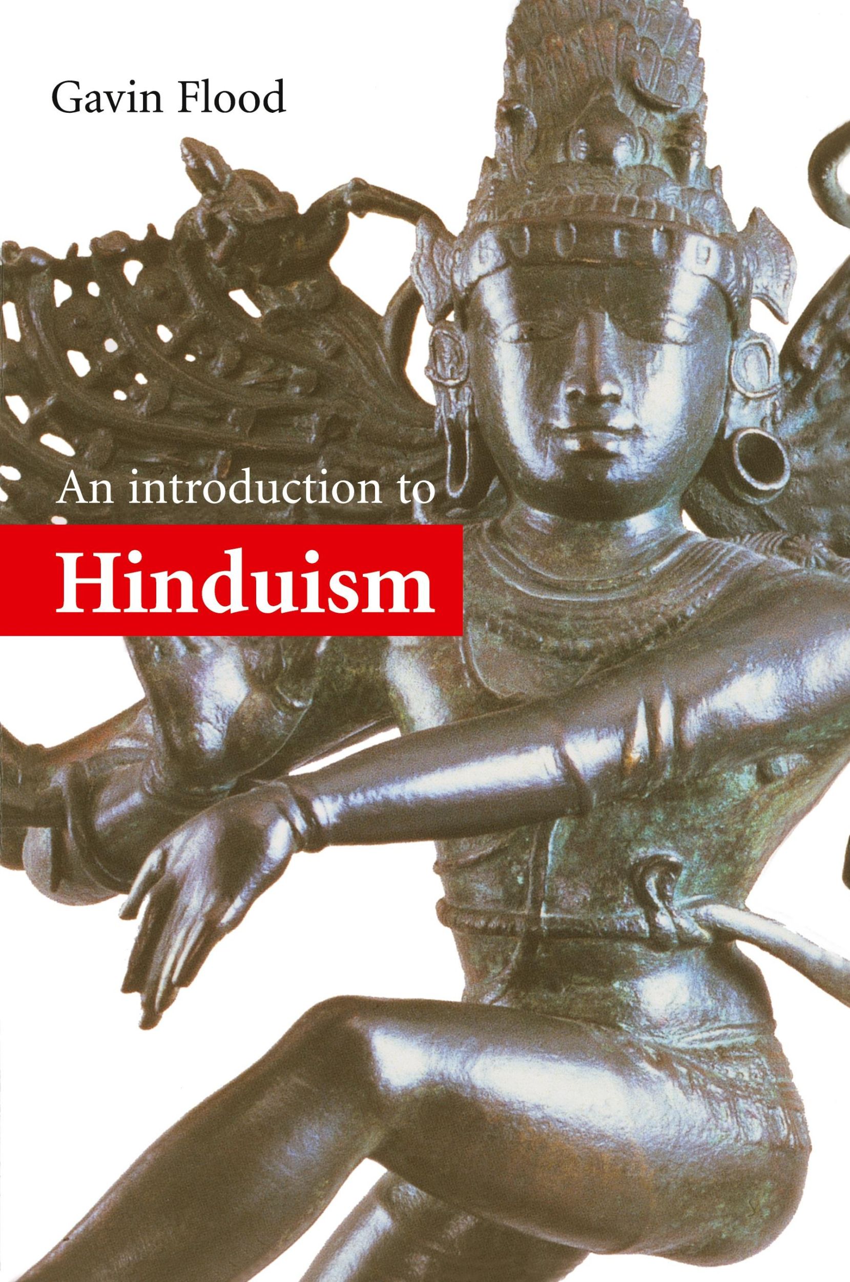 Cover: 9780521438780 | An Introduction to Hinduism 1ed | Gavin D. Flood | Taschenbuch | 2018