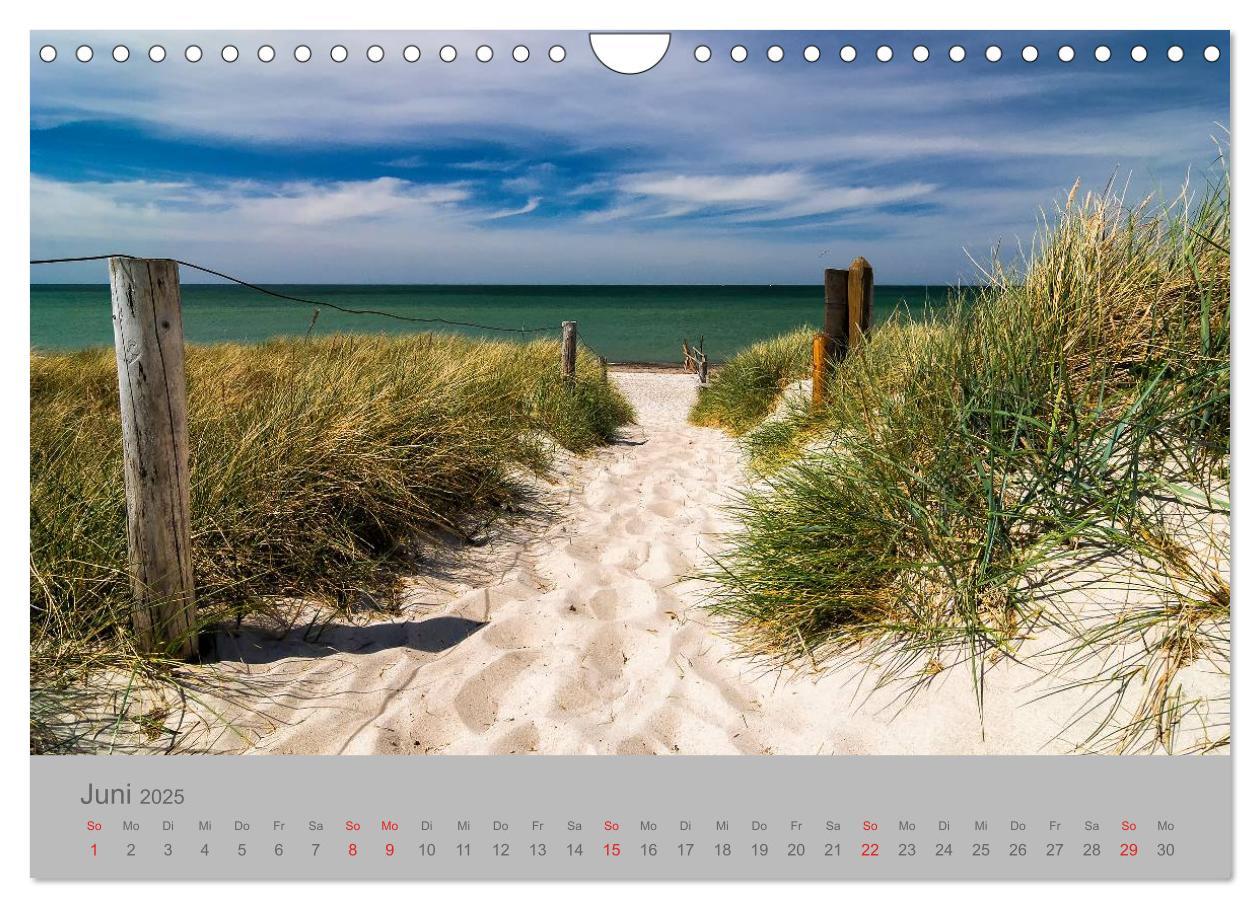 Bild: 9783435702312 | Ostsee, Fischland-Darß (Wandkalender 2025 DIN A4 quer), CALVENDO...