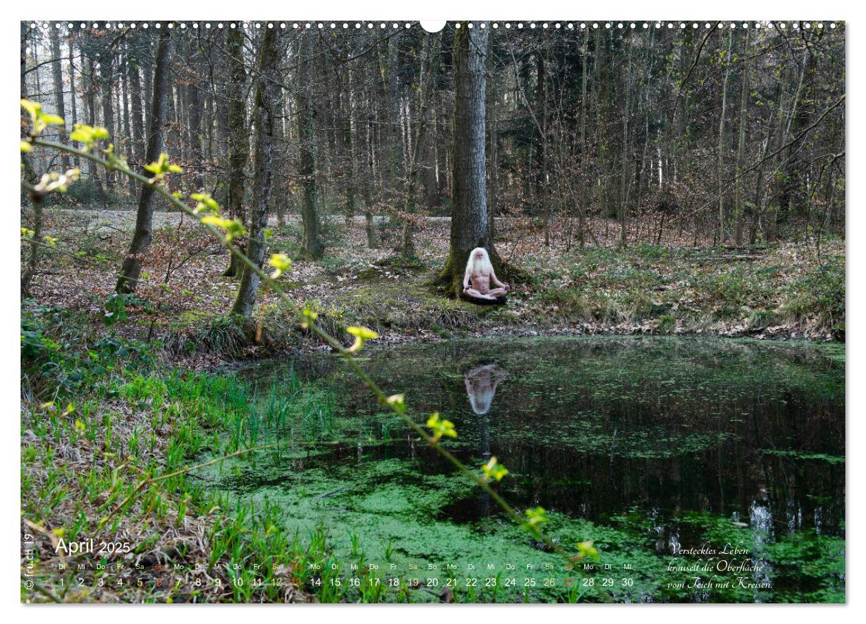 Bild: 9783435291205 | HAIKU AM TEICH (Wandkalender 2025 DIN A2 quer), CALVENDO...