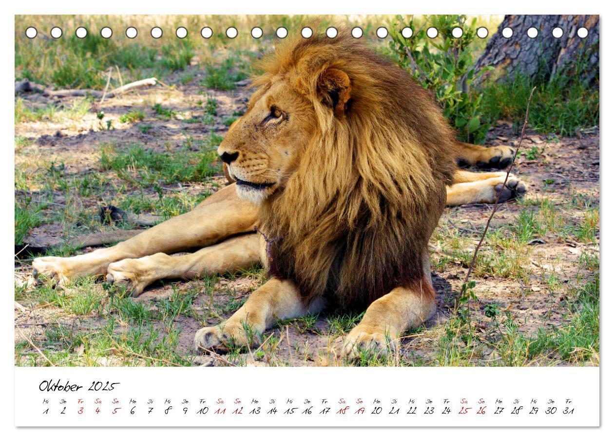 Bild: 9783435256938 | Namibia - Magie der Weite (Tischkalender 2025 DIN A5 quer),...