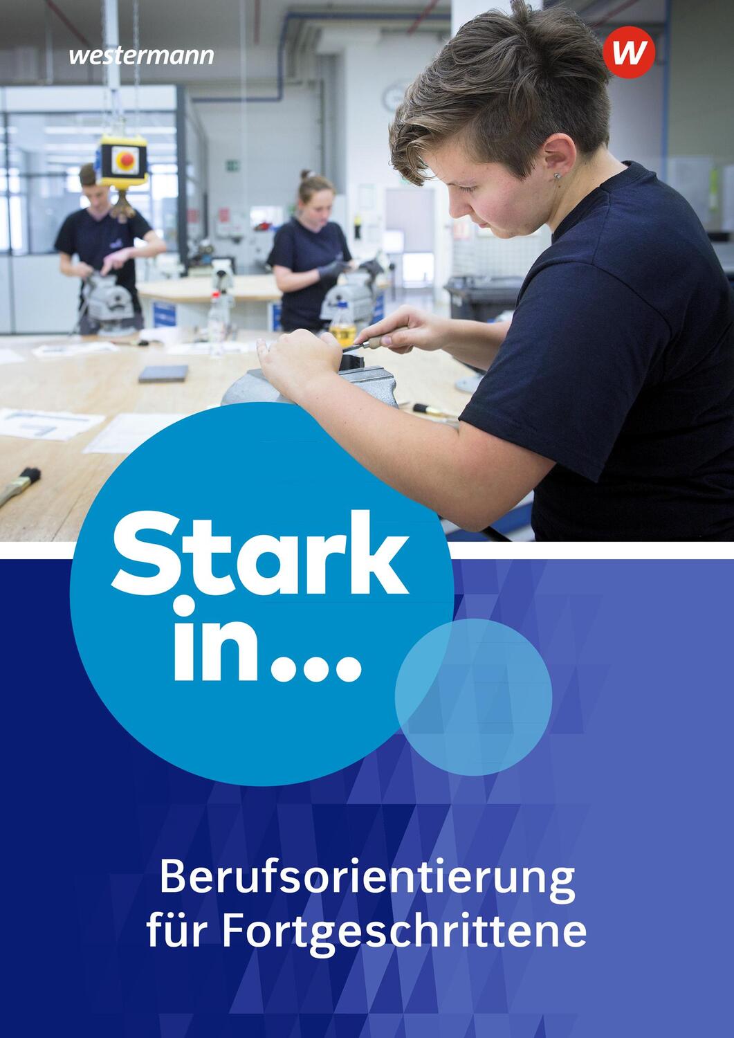 Cover: 9783507326866 | Stark in ... Themenhefte. Arbeitsheft Berufsorientierung 2: für...