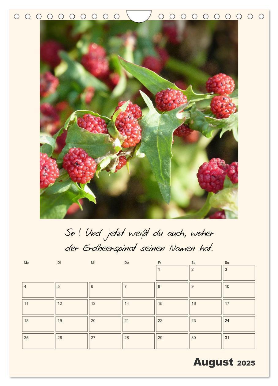 Bild: 9783435999583 | Gartengeschichten (Wandkalender 2025 DIN A4 hoch), CALVENDO...