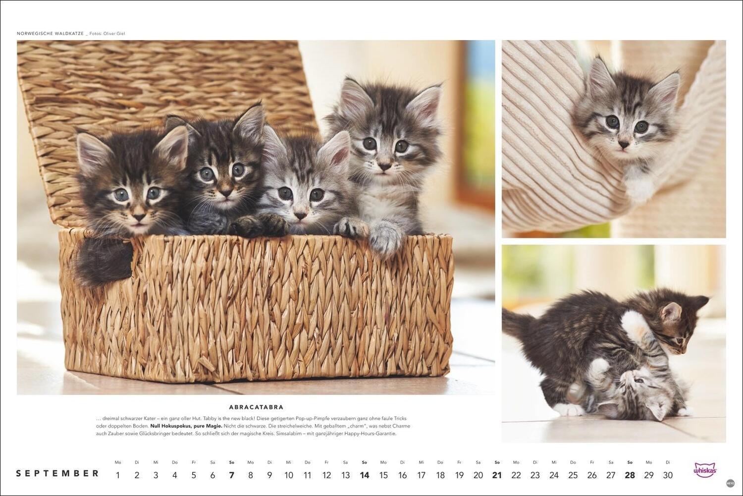 Bild: 9783756404971 | Whiskas Katzenkalender 2025 | Heye | Kalender | Spiralbindung | 14 S.