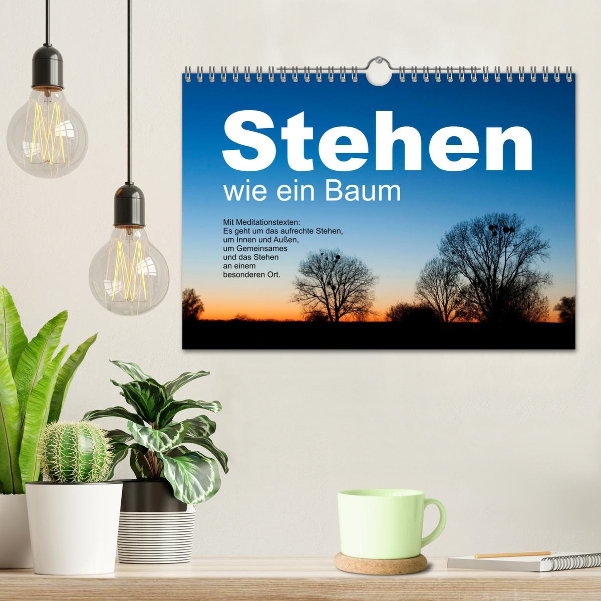 Bild: 9783383855825 | Stehen wie ein Baum (Wandkalender 2025 DIN A4 quer), CALVENDO...