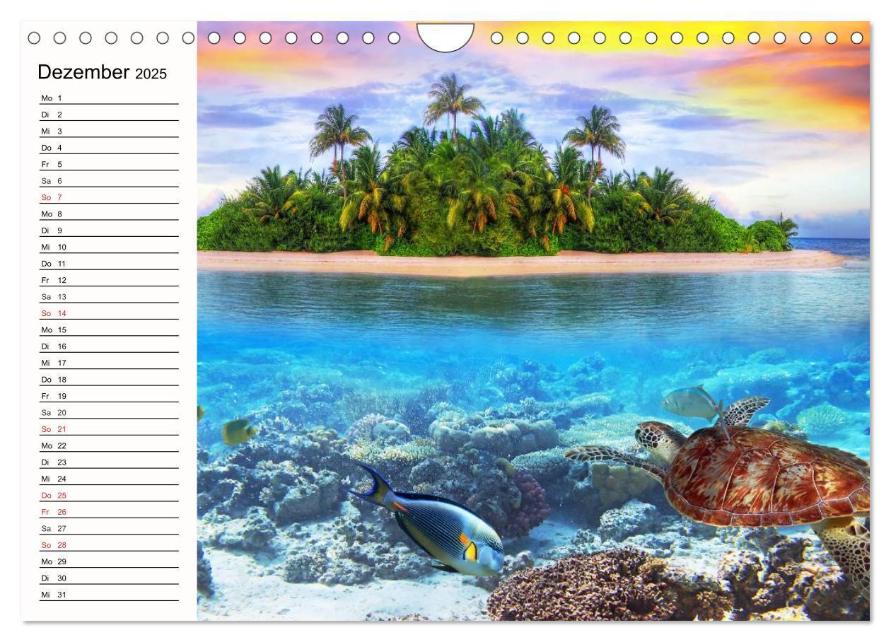 Bild: 9783435489220 | Paradiese. Karibik und Südsee über und unter Wasser (Wandkalender...