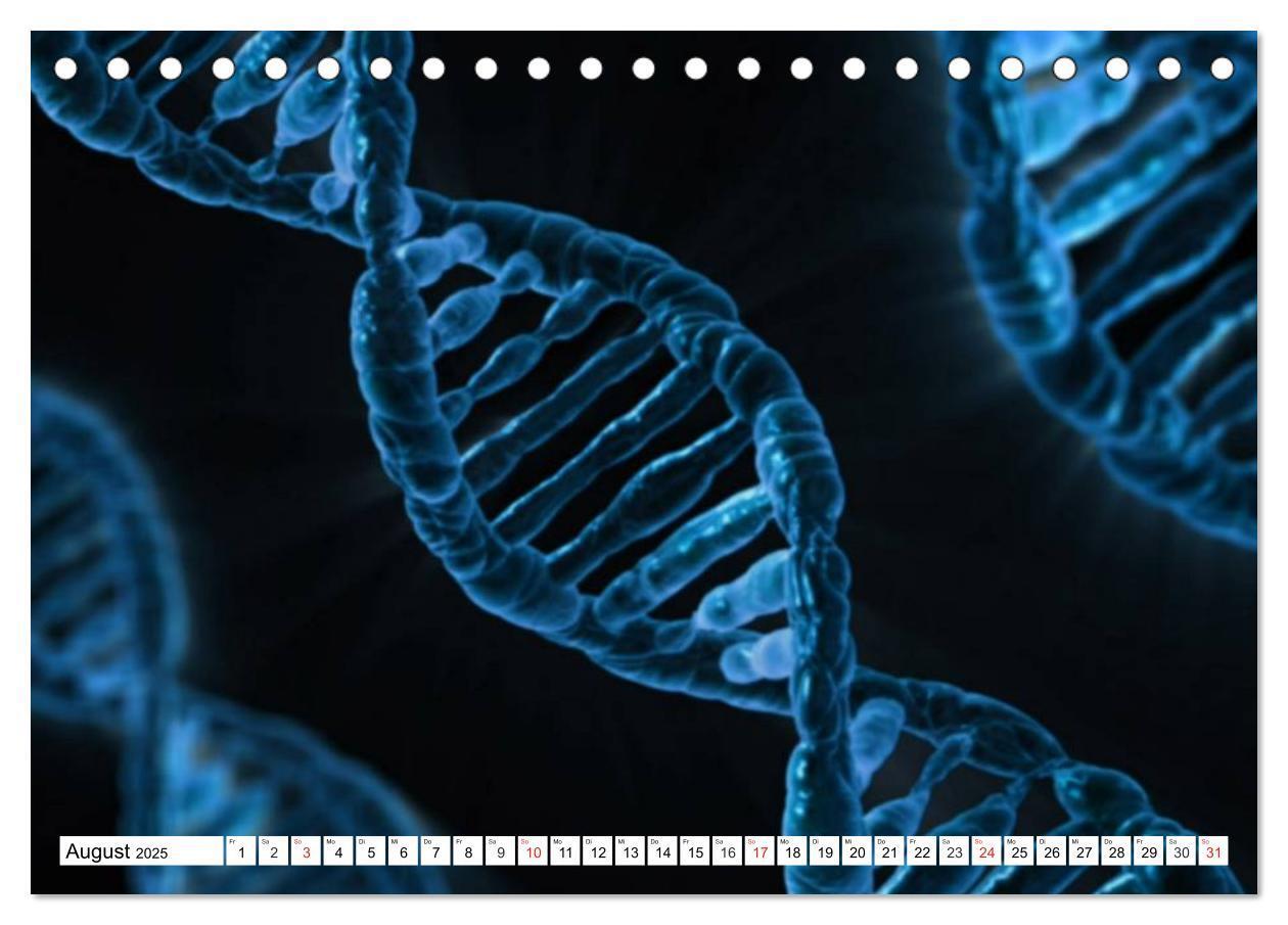 Bild: 9783435482832 | Mikrobiologie. Mikroorganismen, Genetik und Zellen (Tischkalender...