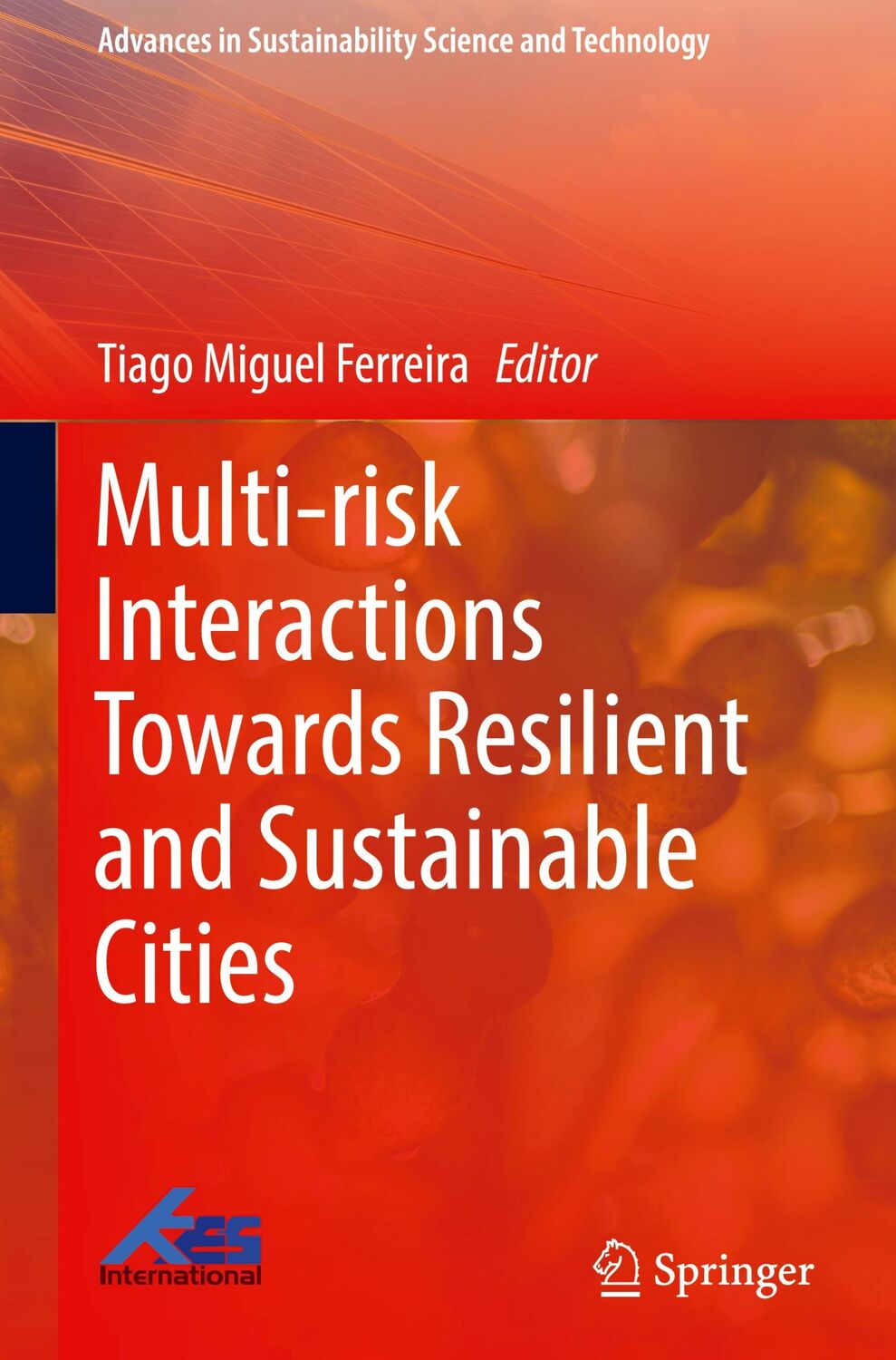 Cover: 9789819907441 | Multi-risk Interactions Towards Resilient and Sustainable Cities | xiv