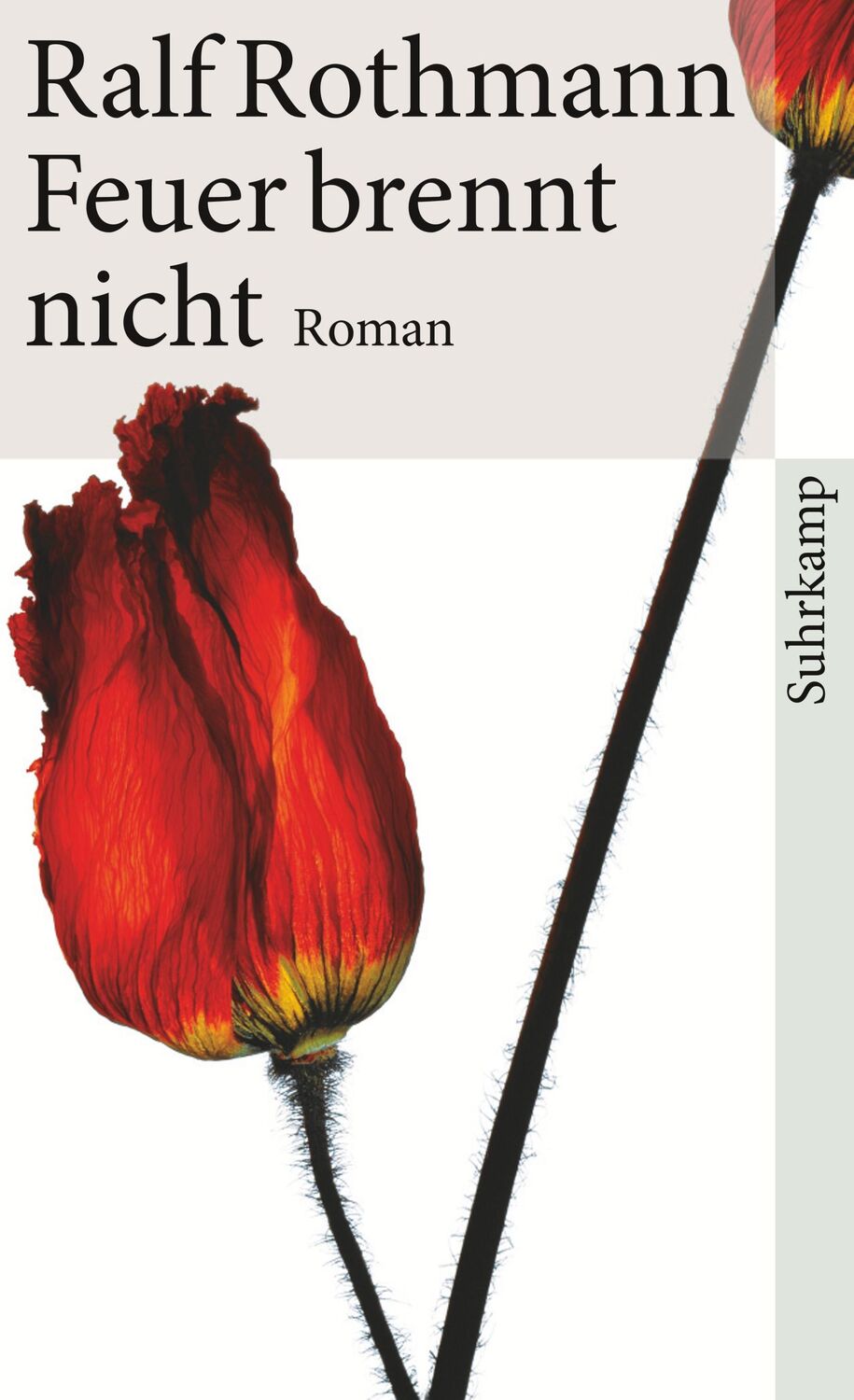 Cover: 9783518461730 | Feuer brennt nicht | Ralf Rothmann | Taschenbuch | 304 S. | Deutsch