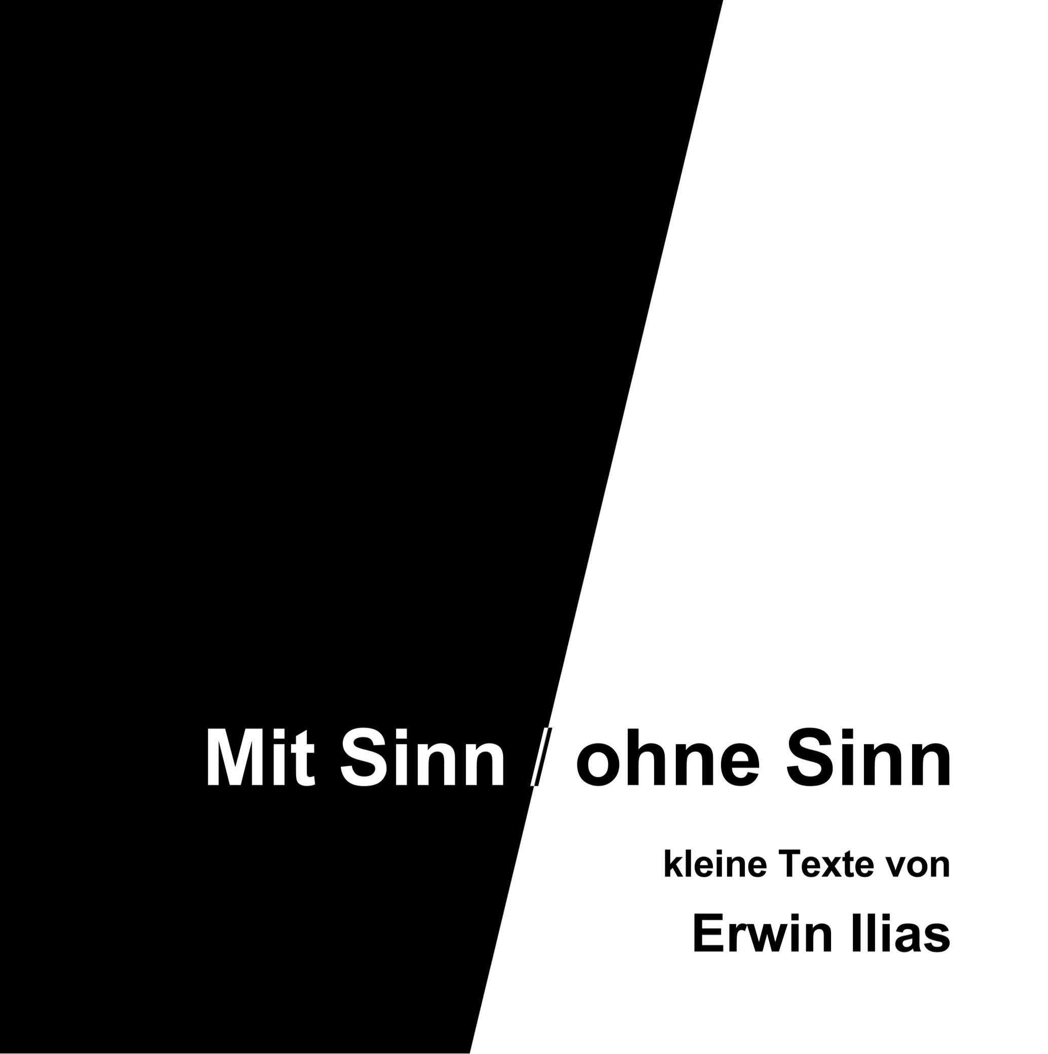 Cover: 9783746047669 | Mit Sinn / ohne Sinn | Erwin Ilias | Buch | 60 S. | Deutsch | 2018