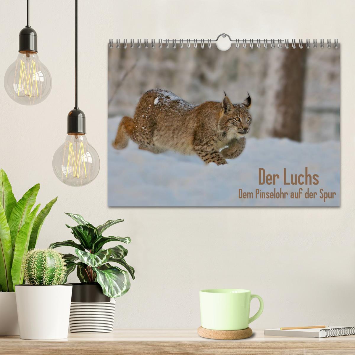 Bild: 9783435690213 | Der Luchs - Dem Pinselohr auf der Spur (Wandkalender 2025 DIN A4...