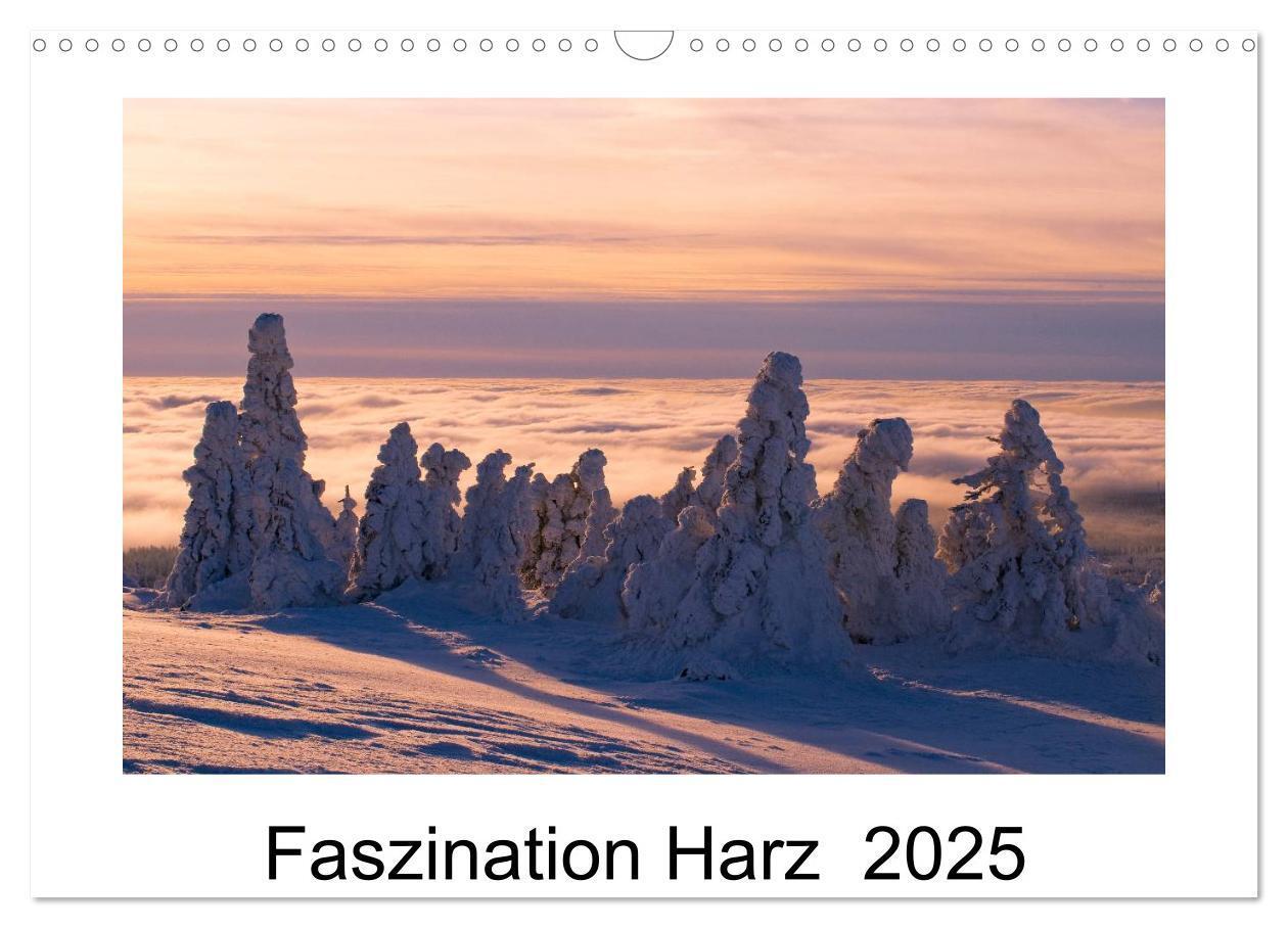 Cover: 9783435628766 | Faszination Harz 2025 (Wandkalender 2025 DIN A3 quer), CALVENDO...