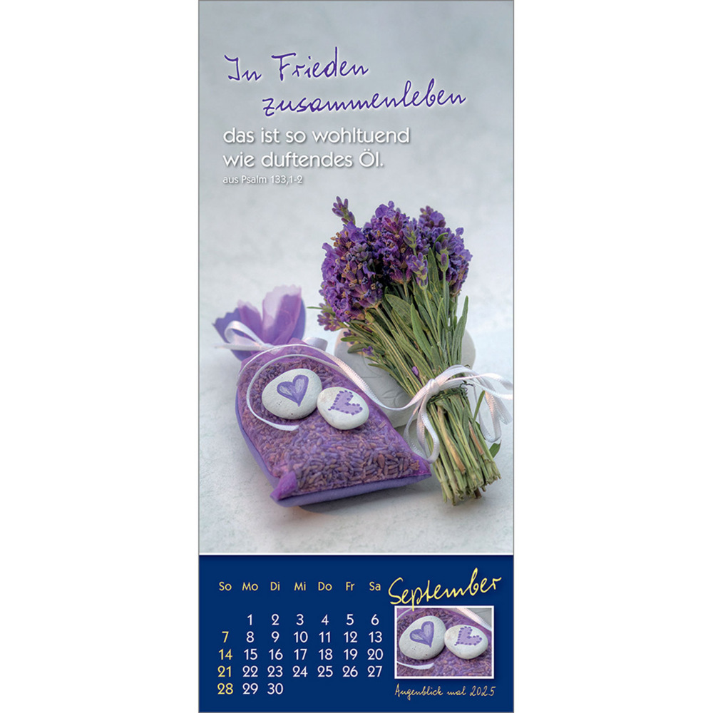 Bild: 9783754883556 | Augenblick mal 2025 | Der (kleine) Symbol-Kalender | Anke Will | 14 S.