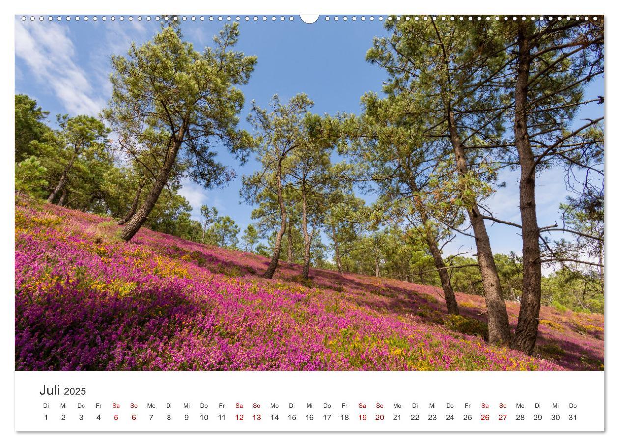 Bild: 9783435014231 | Die Bretagne - Traumpfade (Wandkalender 2025 DIN A2 quer), CALVENDO...