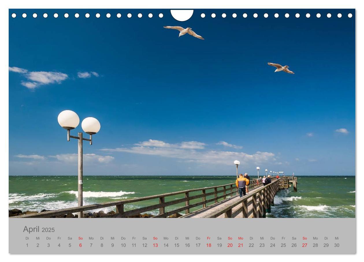 Bild: 9783435702312 | Ostsee, Fischland-Darß (Wandkalender 2025 DIN A4 quer), CALVENDO...