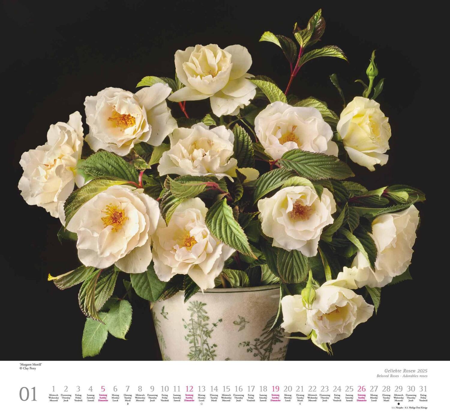 Bild: 4250809653082 | Geliebte Rosen 2025 - DUMONT Wandkalender - mit allen wichtigen...