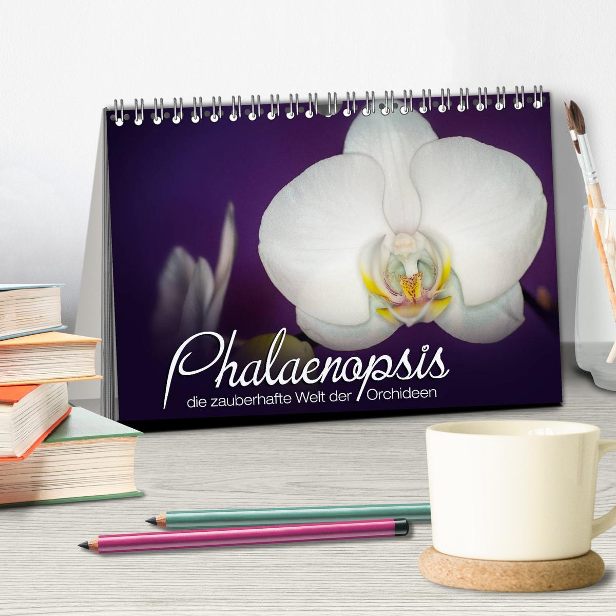 Bild: 9783435688425 | Phalaenopsis - die zauberhafte Welt der Orchideen (Tischkalender...