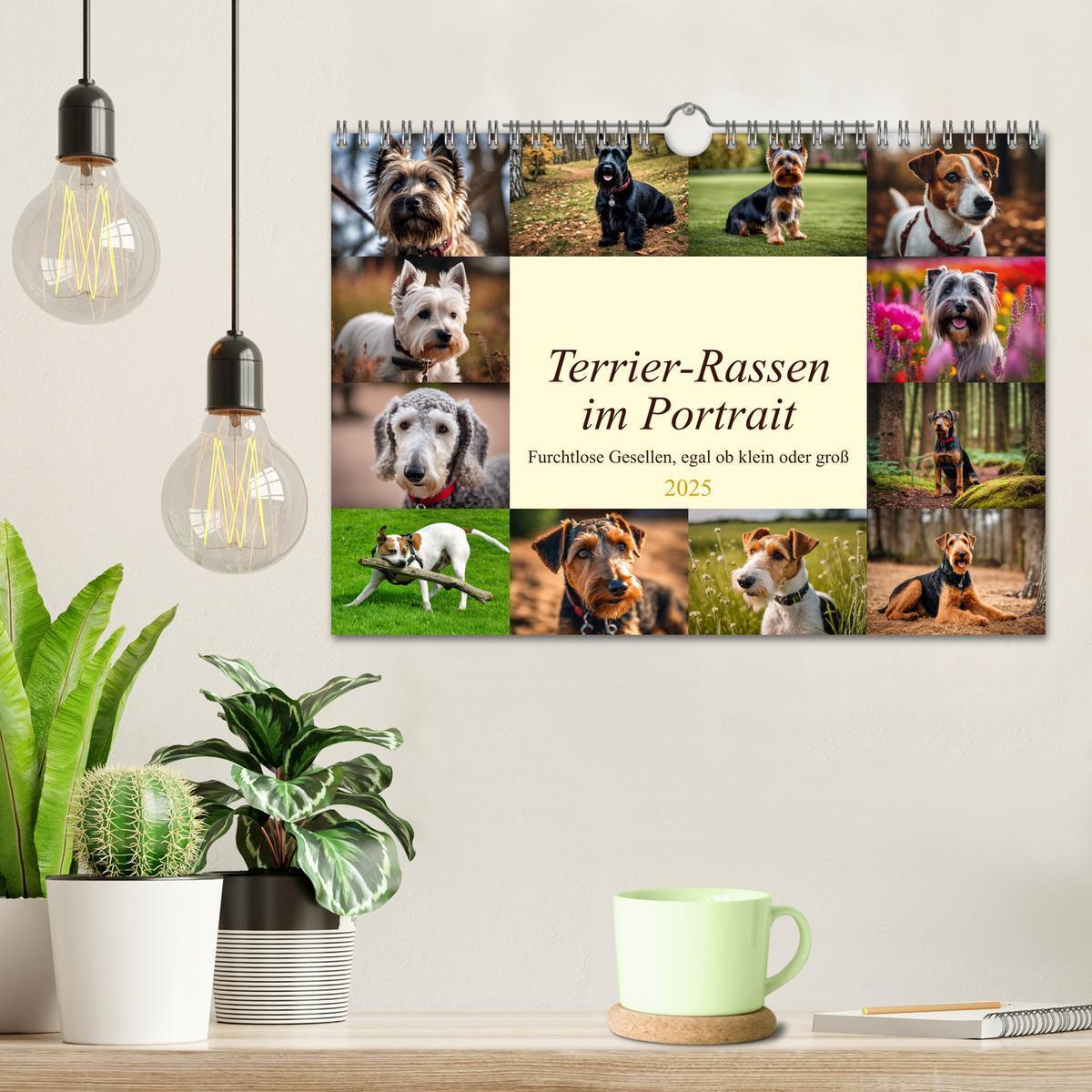 Bild: 9783435347896 | Terrier-Rassen im Portrait (Wandkalender 2025 DIN A4 quer),...