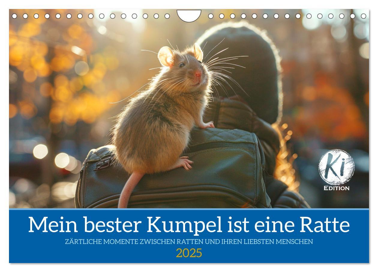 Cover: 9783383813832 | Mein bester Kumpel ist eine Ratte (Wandkalender 2025 DIN A4 quer),...