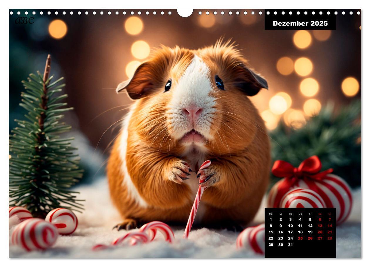 Bild: 9783435012527 | Meerschweinchen mal anders! (Wandkalender 2025 DIN A3 quer),...