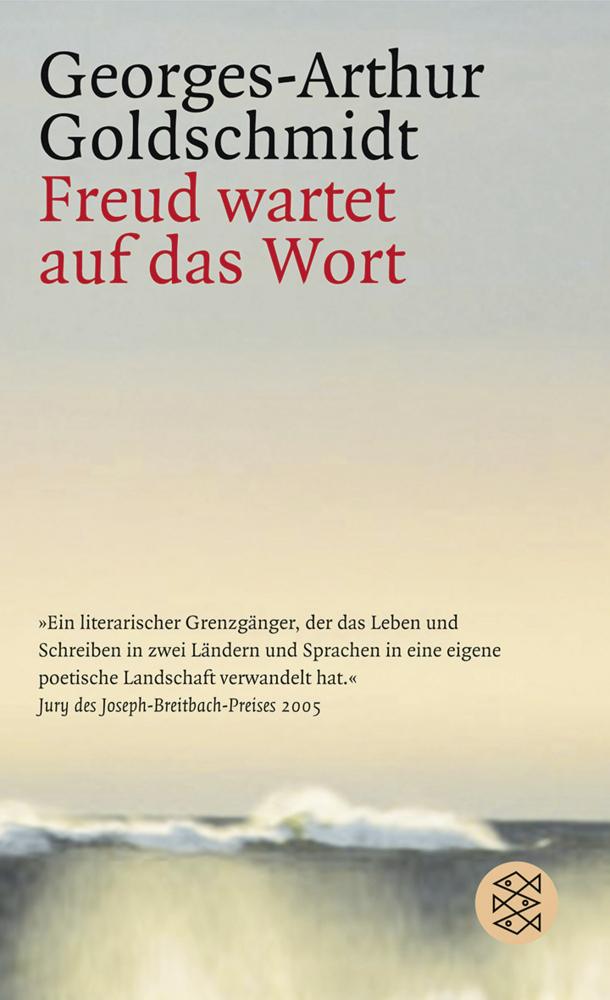 Cover: 9783596178254 | Freud wartet auf das Wort | Georges-Arthur Goldschmidt | Taschenbuch