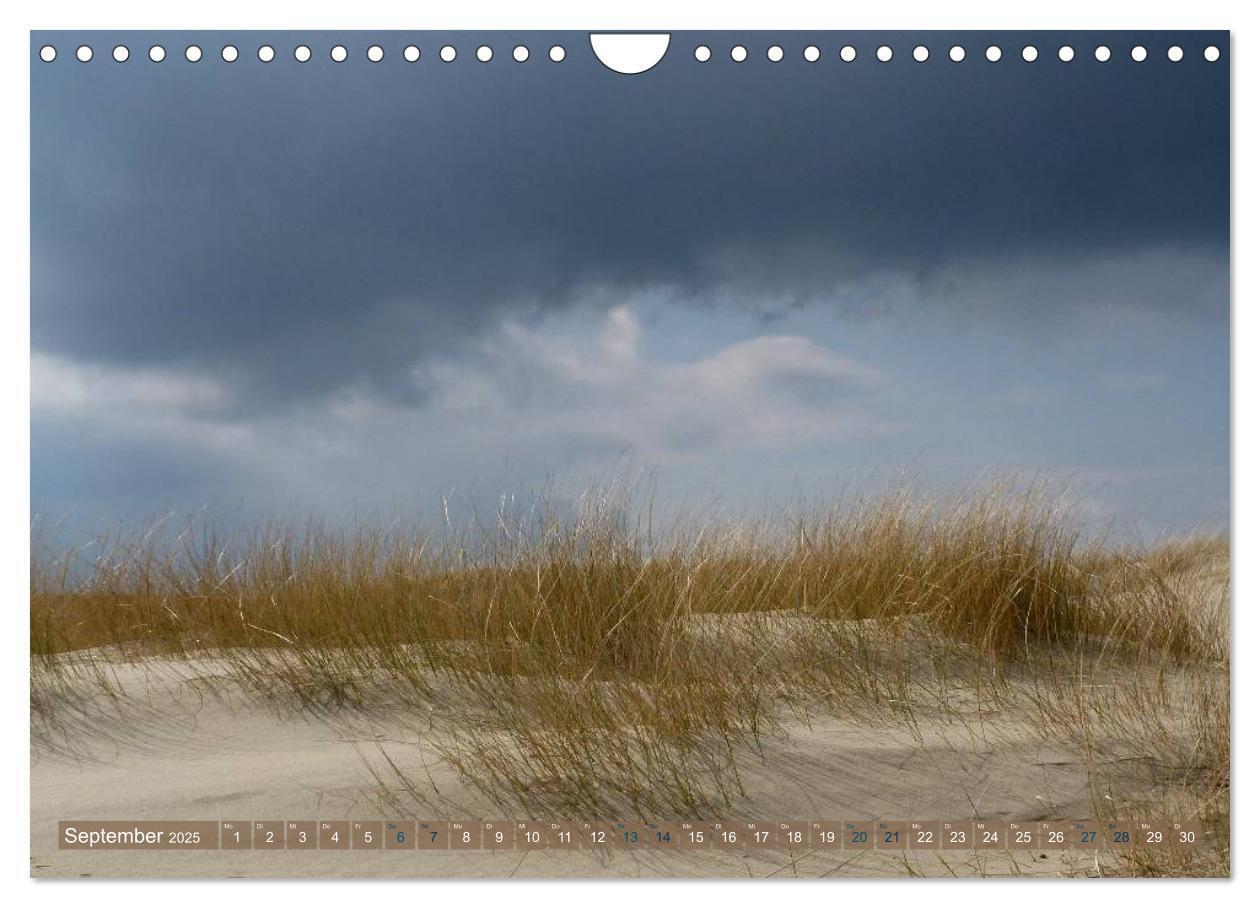 Bild: 9783435763597 | Strandwanderungen auf Texel (Wandkalender 2025 DIN A4 quer),...