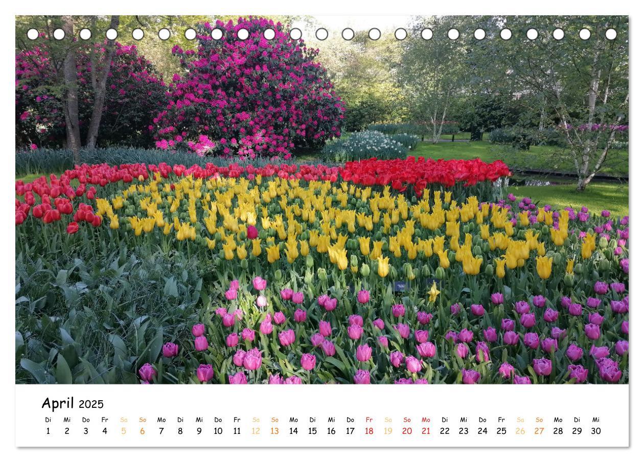 Bild: 9783383923623 | Auf Tour im Land der Tulpen (Tischkalender 2025 DIN A5 quer),...