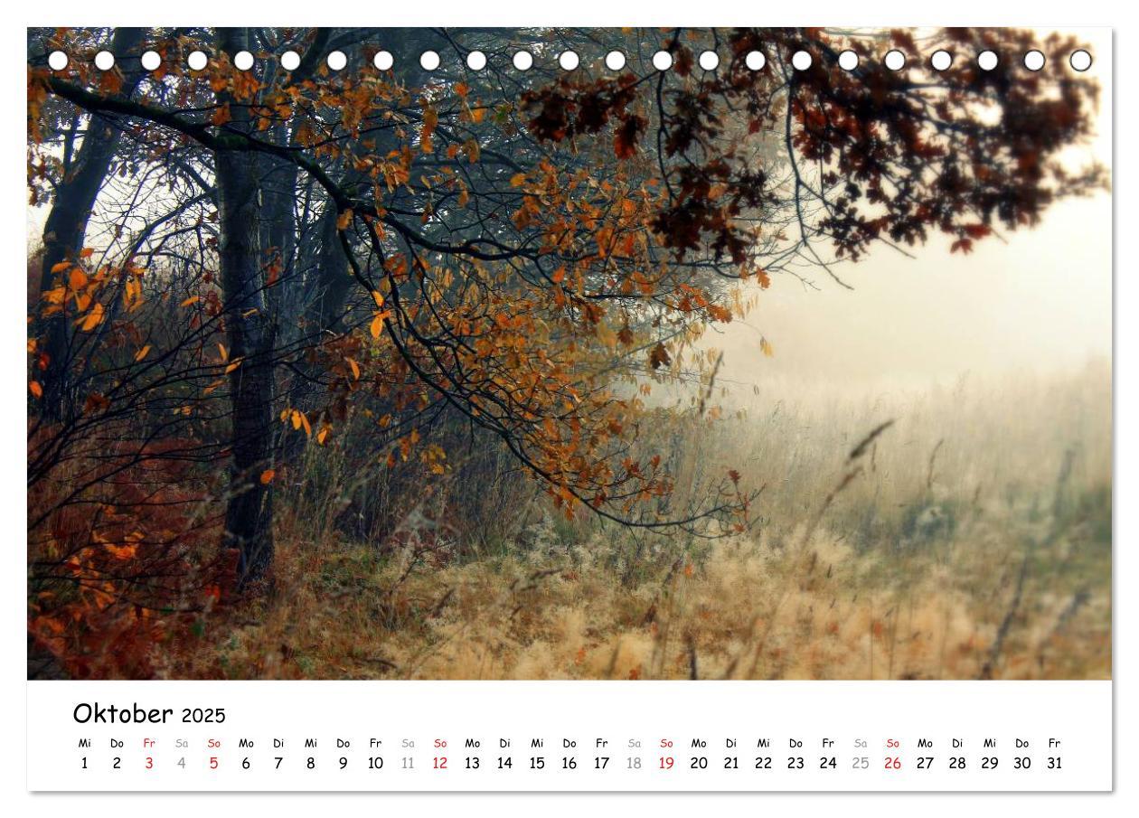 Bild: 9783435624126 | Unterwegs im Teufelsmoor (Tischkalender 2025 DIN A5 quer), CALVENDO...