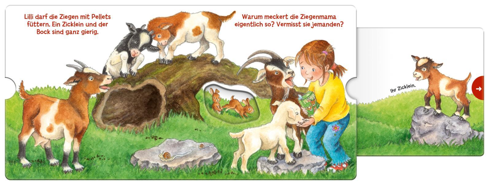 Bild: 9783551254733 | Mein erstes Hör mal (Soundbuch ab 1 Jahr): Die Tierkinder | Trapp