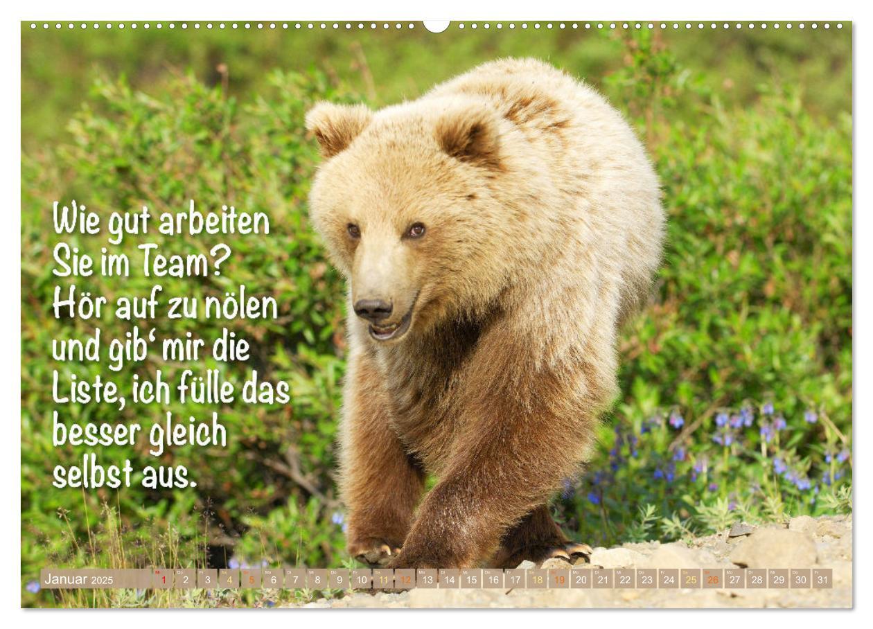 Bild: 9783383881398 | Spaß mit Bären: Edition lustige Tiere (Wandkalender 2025 DIN A2...