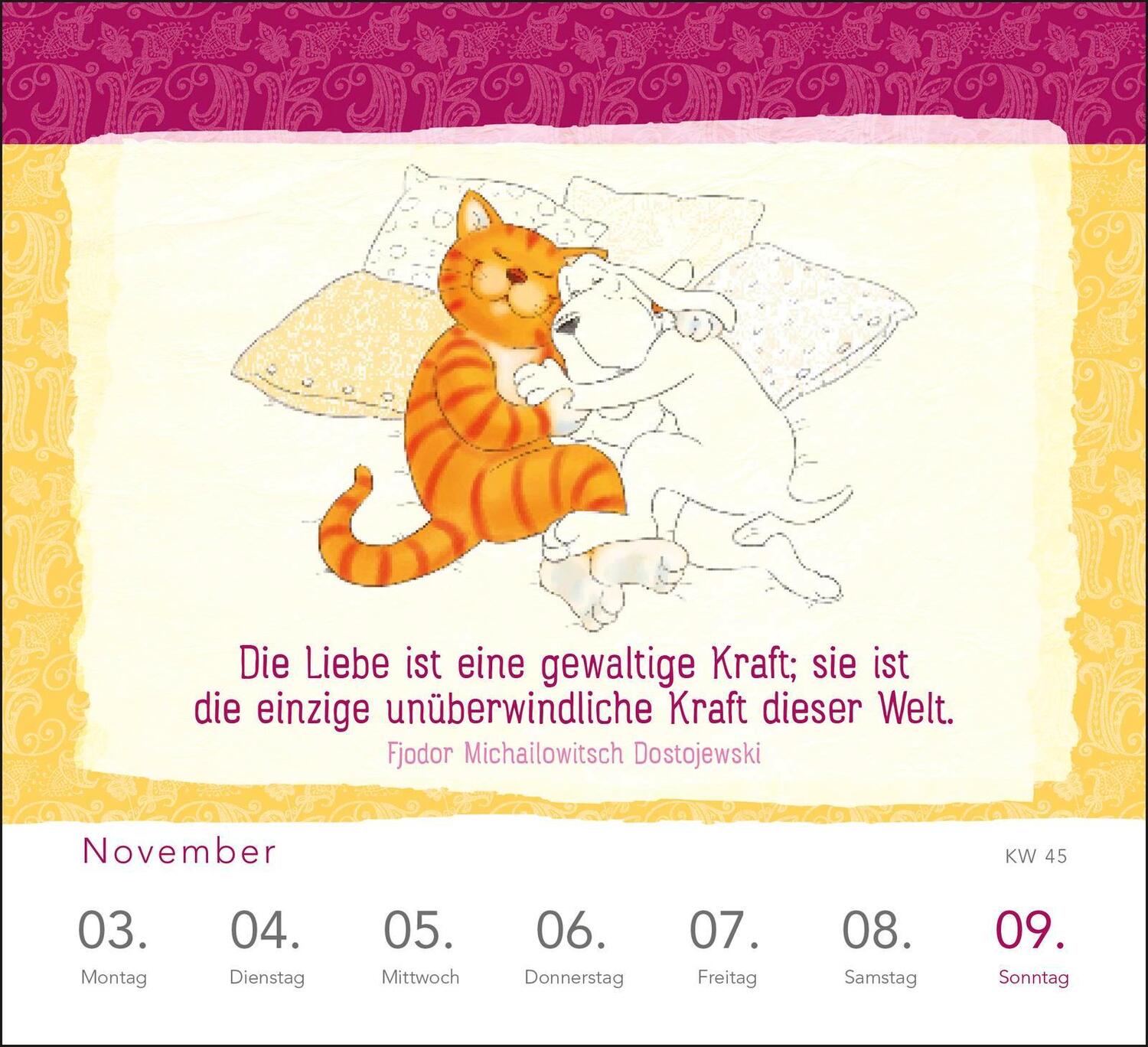 Bild: 4260308345210 | Wochenkalender 2025: Om-Katze: In der Ruhe liegt die Kraft | Verlag