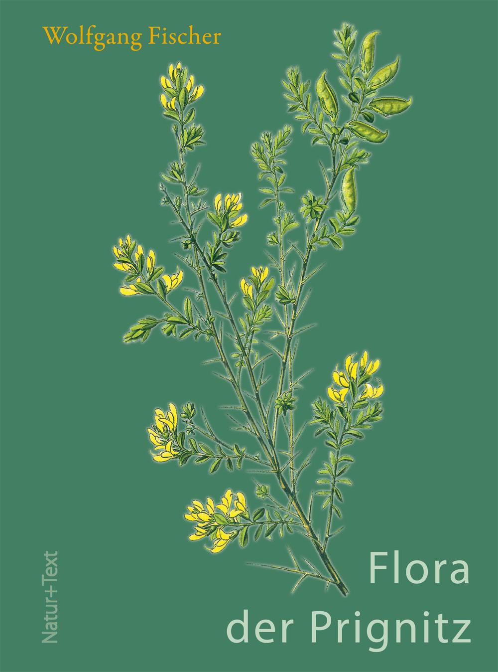 Cover: 9783942062299 | Flora der Prignitz | Wolfgang Fischer | Buch | 487 S. | Deutsch | 2017