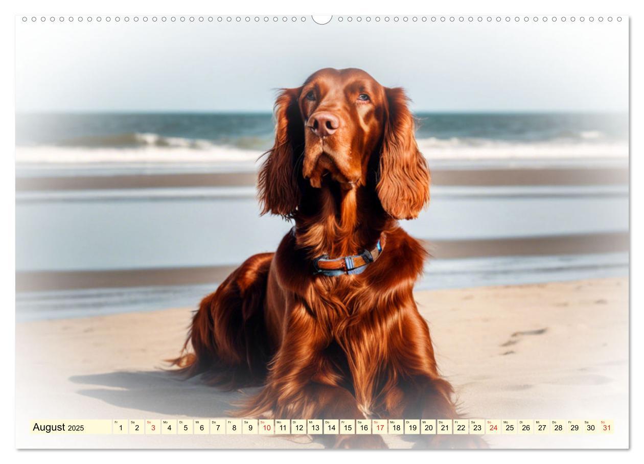 Bild: 9783435380619 | Rasseportraits - Hunde (Wandkalender 2025 DIN A2 quer), CALVENDO...