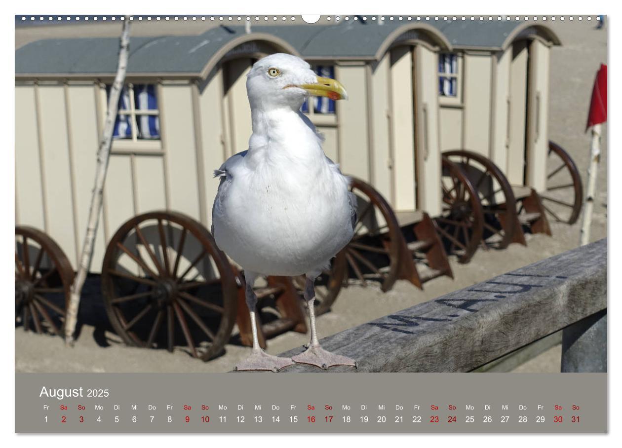 Bild: 9783435418954 | Norderney - Meine Trauminsel (Wandkalender 2025 DIN A2 quer),...