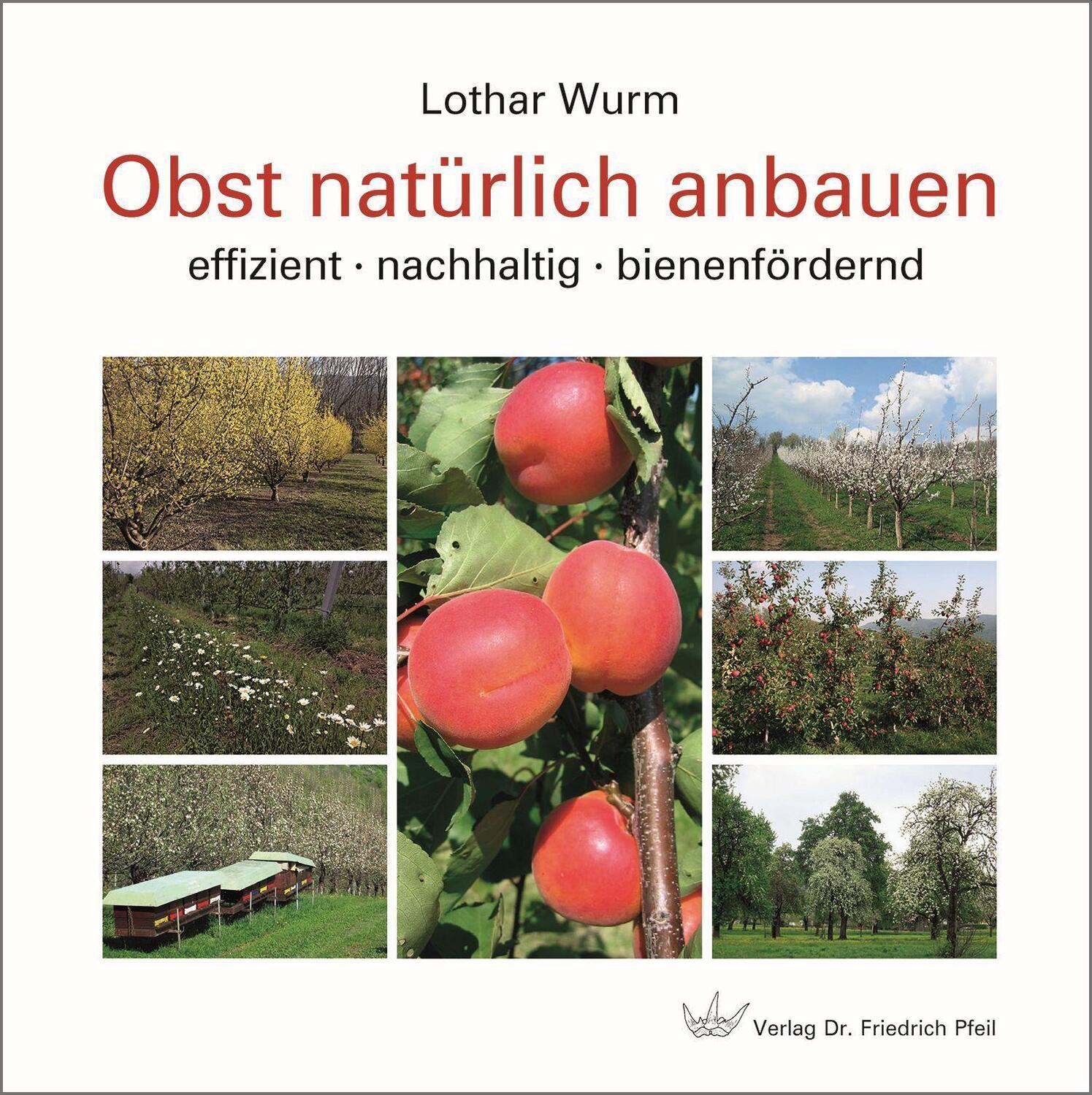 Cover: 9783899372779 | Obst natürlich anbauen | effizient · nachhaltig · bienenfördernd