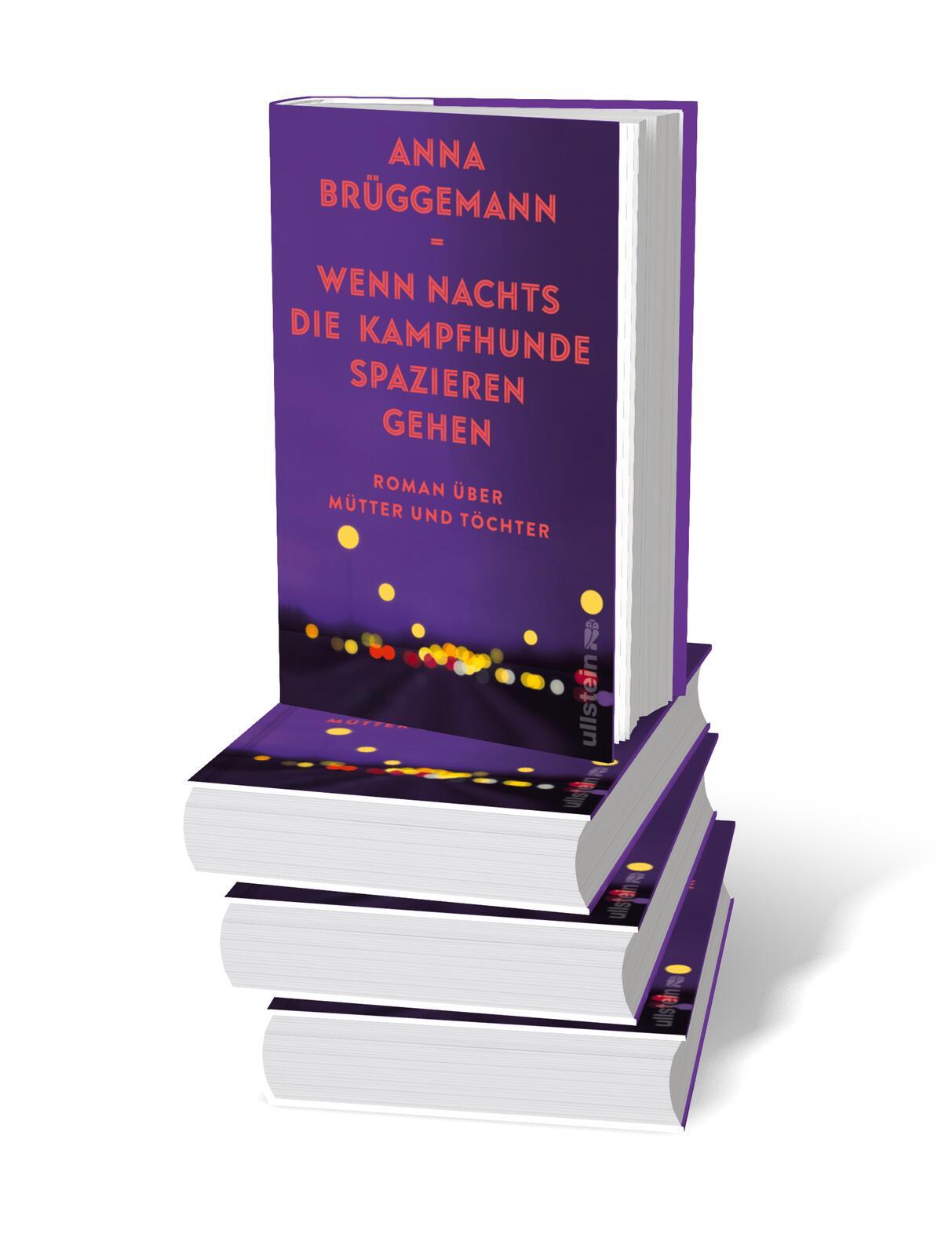 Bild: 9783550202216 | Wenn nachts die Kampfhunde spazieren gehen | Anna Brüggemann | Buch