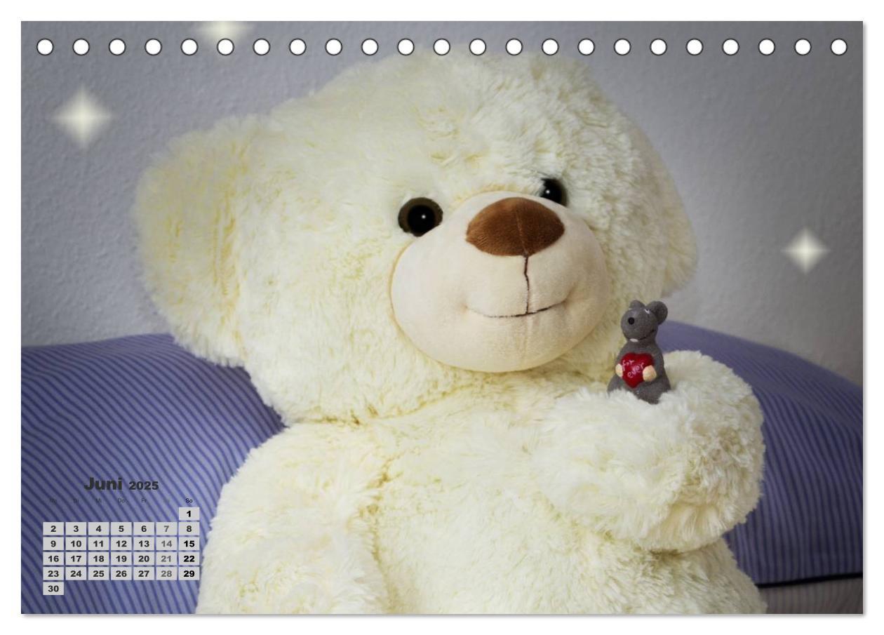 Bild: 9783435501601 | Teddys, wollen wir Kalender anschauen? (Tischkalender 2025 DIN A5...