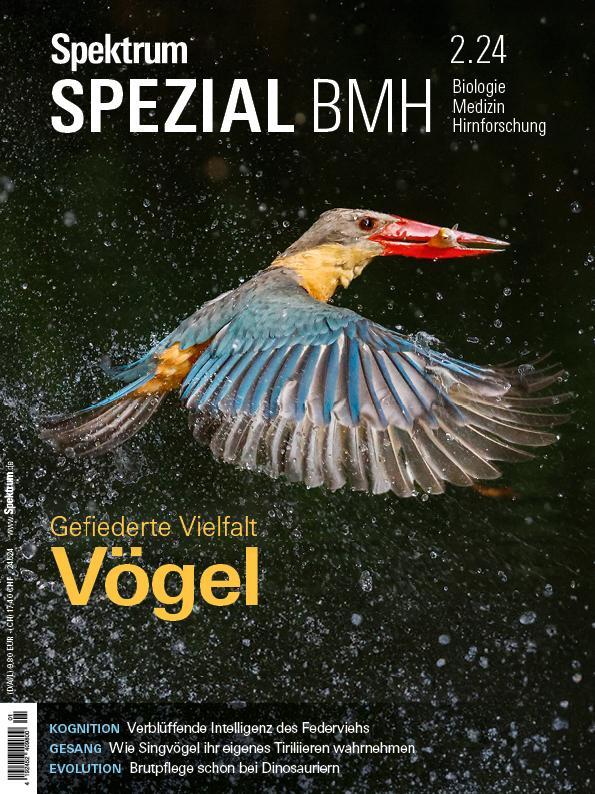 Cover: 9783958928527 | Spektrum Spezial BMH 2/2024 - Vögel | Gefiederte Vielfalt | Buch