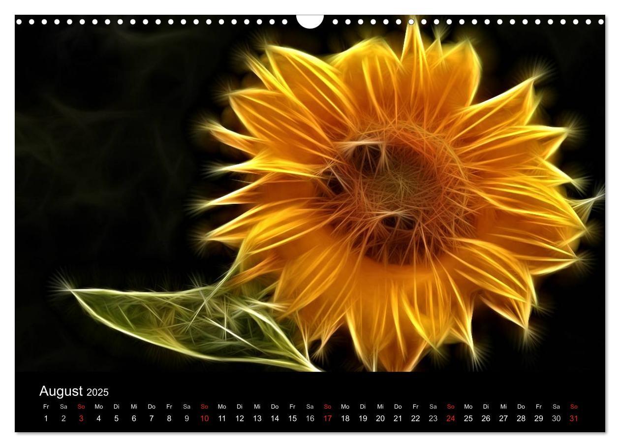 Bild: 9783435771554 | Floral Abstrakt 2025 (Wandkalender 2025 DIN A3 quer), CALVENDO...