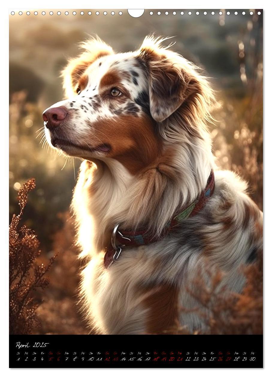 Bild: 9783435876648 | Australian Shepherd (Wandkalender 2025 DIN A3 hoch), CALVENDO...