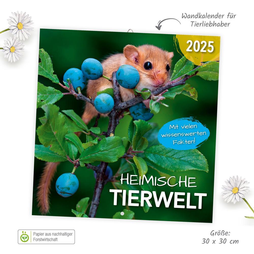 Bild: 9783988021915 | Trötsch Broschürenkalender Heimische Tierwelt 2025 | Wandplaner | KG