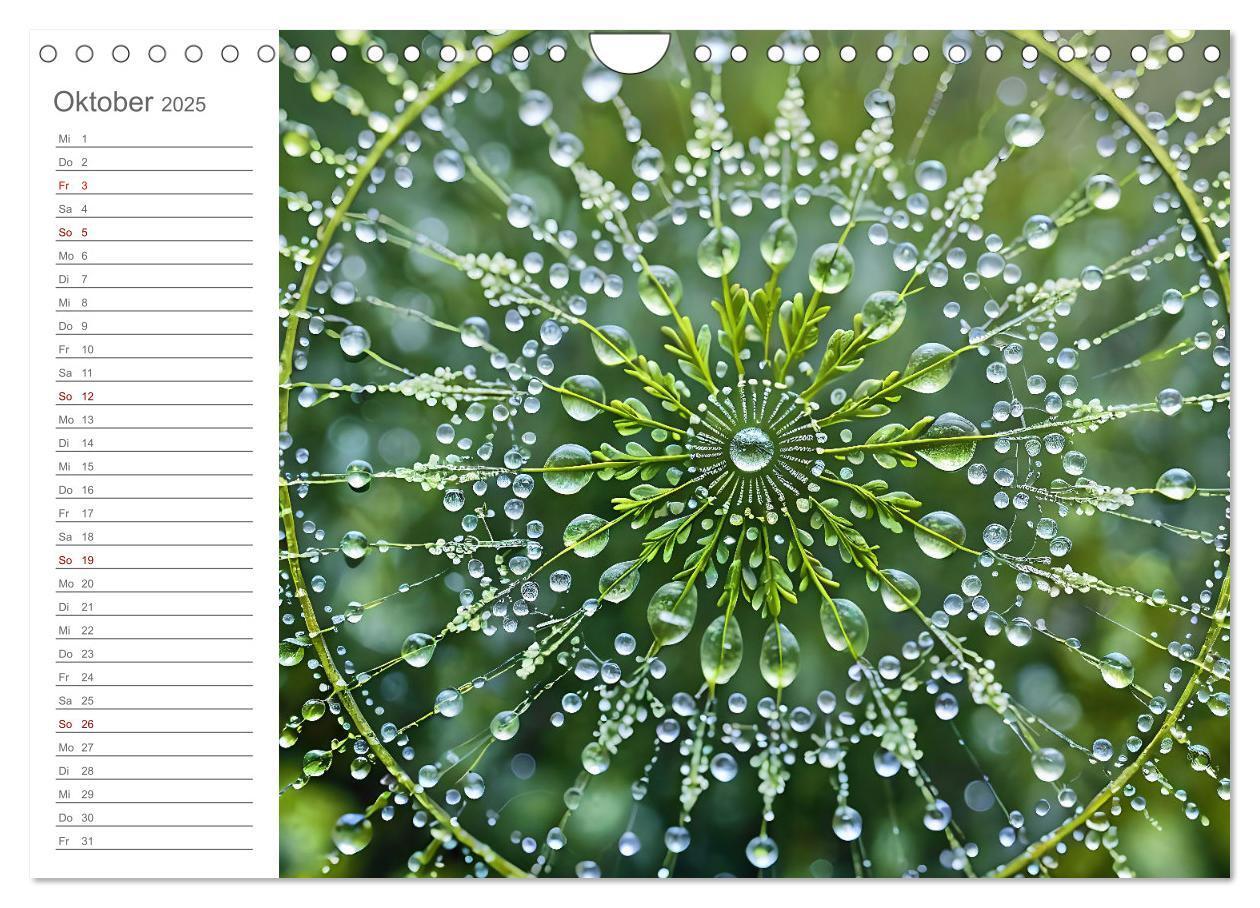 Bild: 9783457156575 | Natural Mandalas - Kraftvolle KI Mandalas aus Naturmaterialien...