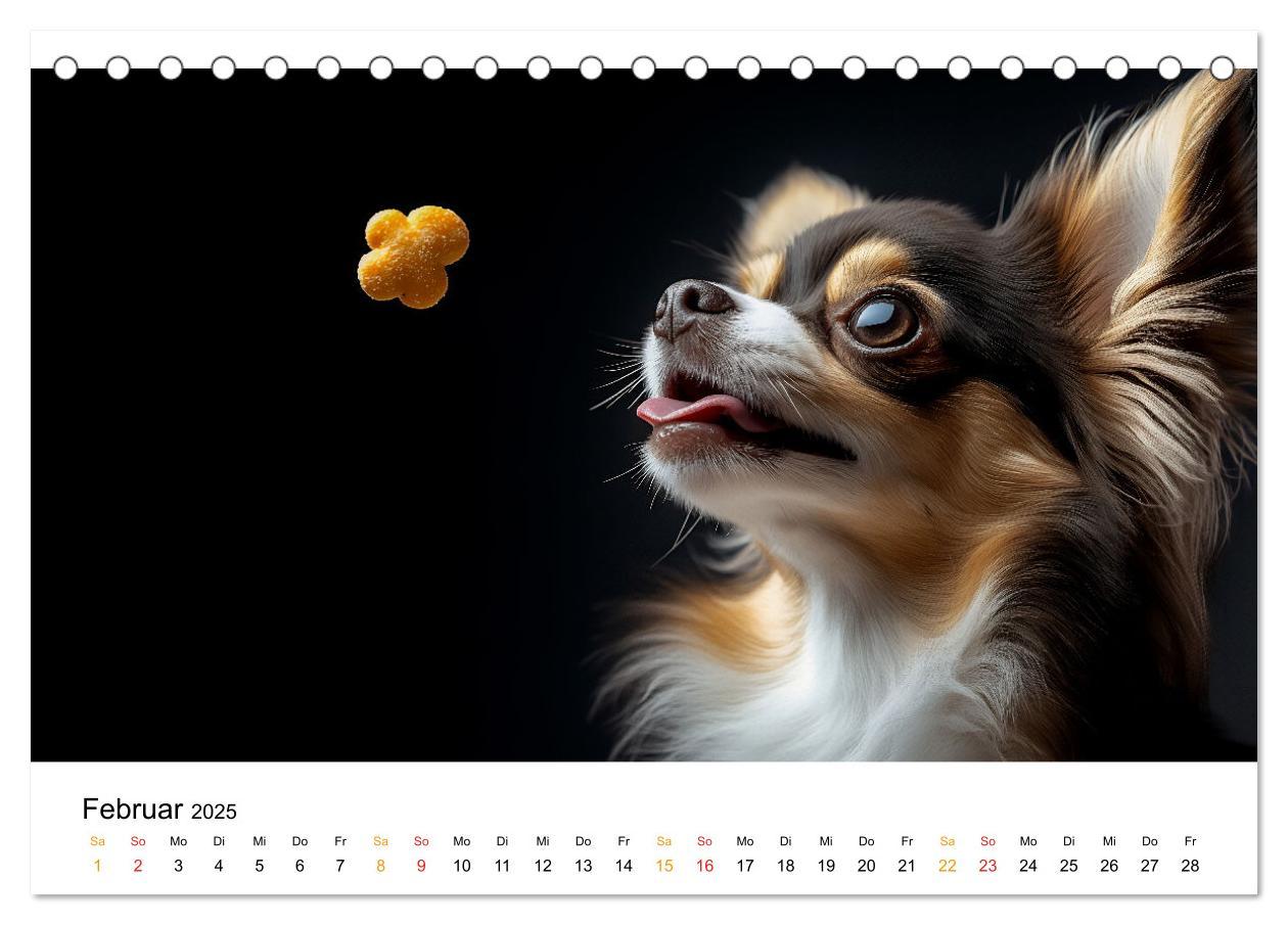 Bild: 9783457237106 | Chihuahua - kleine Energiebündel (Tischkalender 2025 DIN A5 quer),...