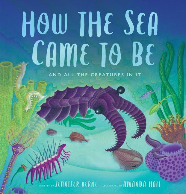 Cover: 9780802854780 | How the Sea Came to Be | And All the Creatures in It | Jennifer Berne